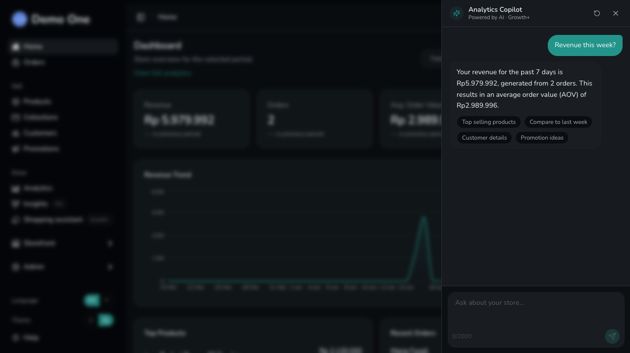 Snaply Analytics Copilot